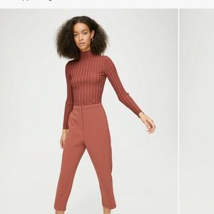 Brand New Aritzia Topher Pants